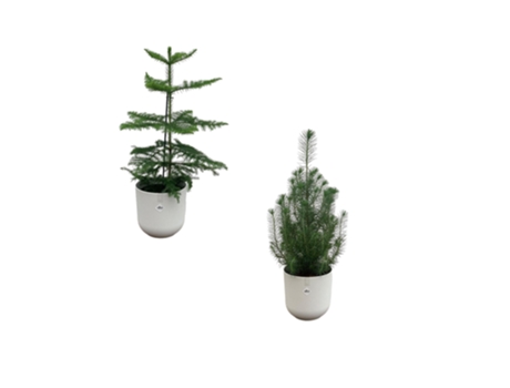 Pacote de Natal Incluindo Maconha Elho 2 Peças 50 Cm EVERSPRING