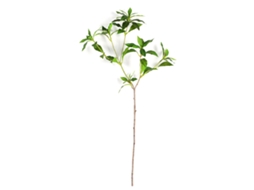 Vaso de 40cm para Pieris Japonica com Ramos LAXISCREED
