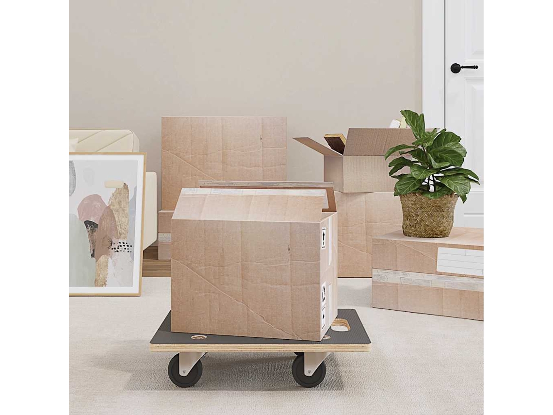 Vidaxl Carrinhos De Transporte 2 Pcs Retangular 50x35x11,5 Cm 250 Kg