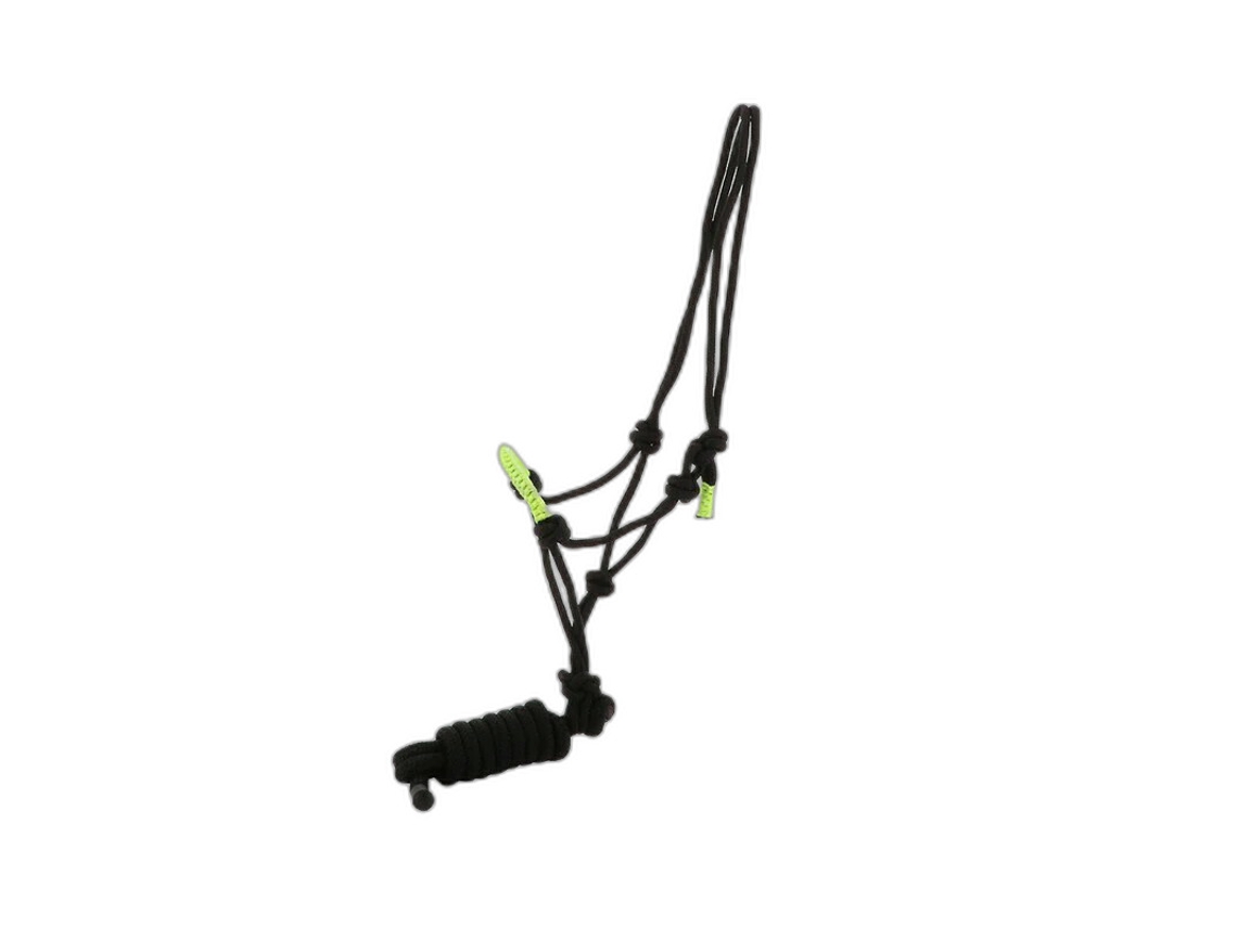 Cabresto para cavalos Norton Fun colour
