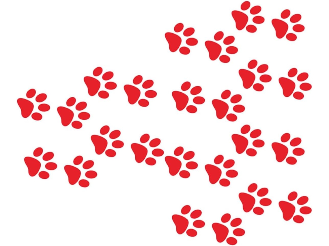 Adesivos De Pegadas De Gato, Decorações 3d, Duráveis E Aderentes, Pacote Com 24 Unidades.