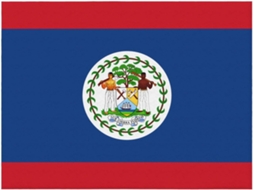 Manta de Flanela Ultramacia Phayah com Estampa da Bandeira Belize Ideal para Sofá Cama Sala Estar Escritório e