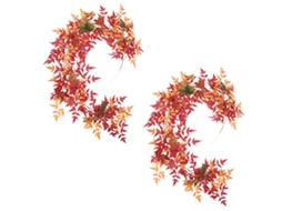 Conjunto de 2 Bregas de Nandina Artificial LAXISCREED