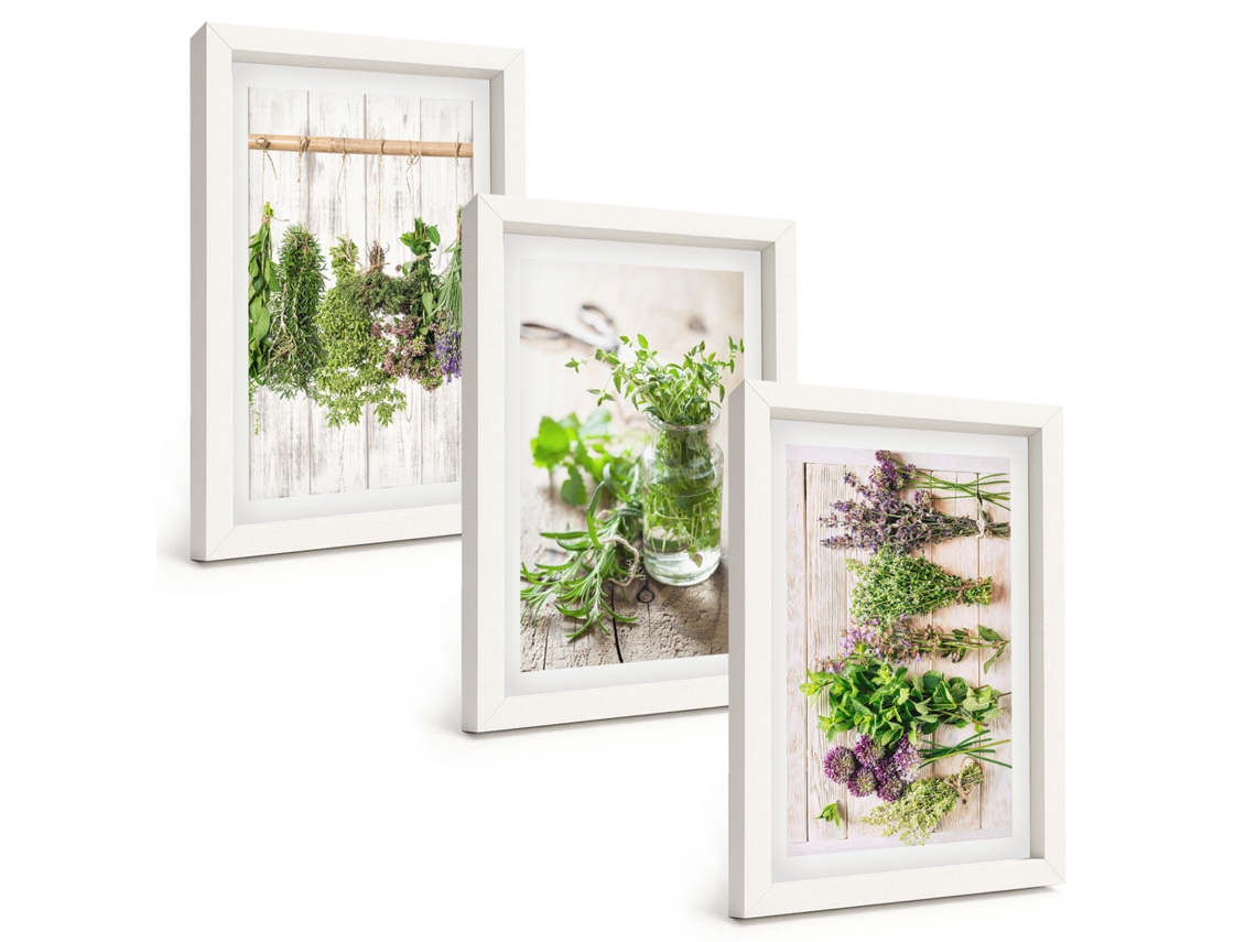 Um Conjunto De Imagens Decorativas Em Uma Moldura Ervas E Plantas Para A Cozinha Moldura Branca Pinturas De Quarto Espelharte (3 Peças 20x30 Cm)