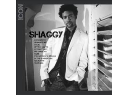 CD Shaggy - Icon