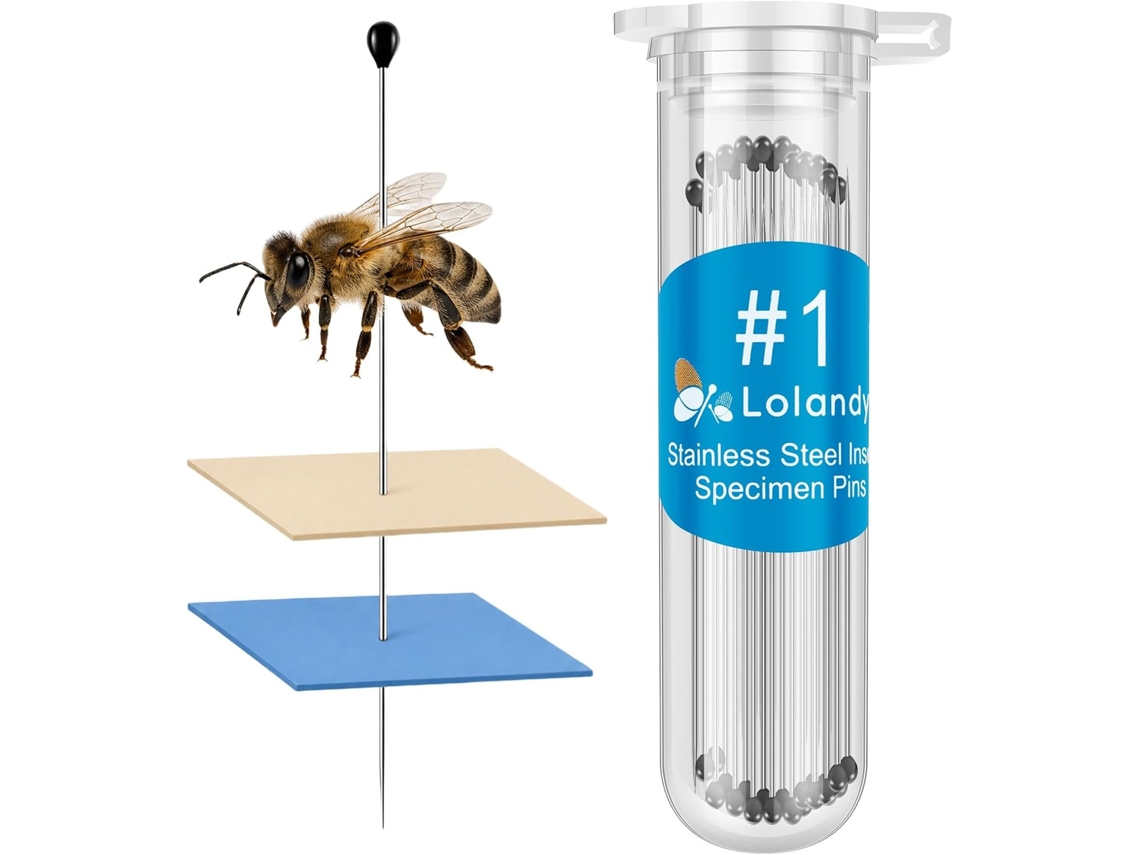 100 alfinetes para espécimes entomológicos, alfinetes para insetos em aço inoxidável de 0,32 mm com cabeças esféricas.
