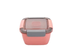 Lancheira De Plástico Com Garfo E Recipiente Para Molho, Caixa De Piquenique Própria Para Micro Ondas Para Salada E Frutas A Aquaforge