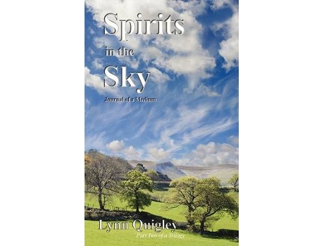 Livro spirits in the sky de lynn quigley (inglês)