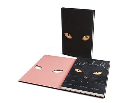 Livro Hairball de Matt Kindt (Inglês - Capa Dura)