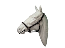 Cabeçada de Couro Grande Beige Cobhispano Hipica