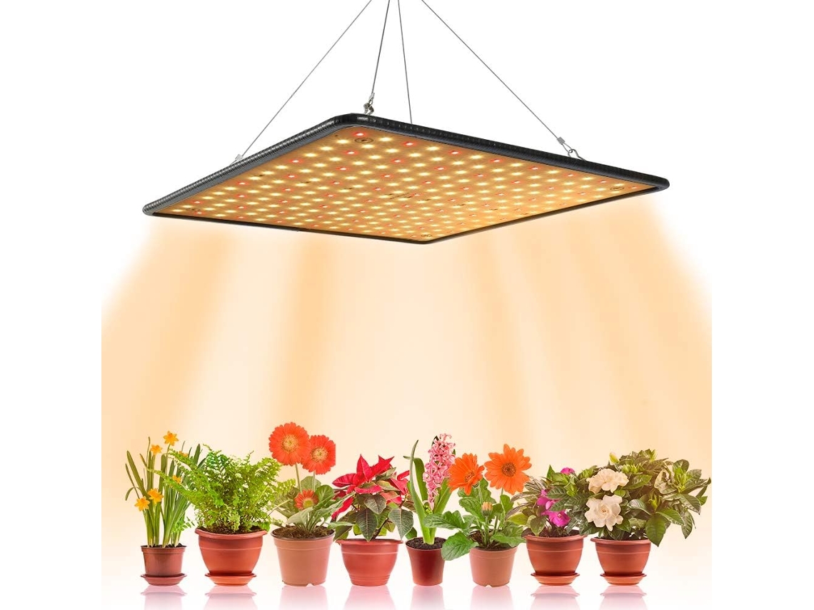 Luzes Led De 1000w Para Jardinagem, Floração E Cultivo, Inclusive Em Ambientes Internos. Aquaforge