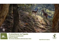 Bilhete TAPADA NACIONAL DE MAFRA - O AMANHECER NA TAPADA
