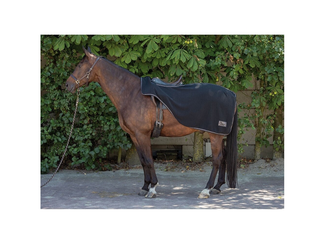 Tapetes de velo para cavalos Harry's Horse M