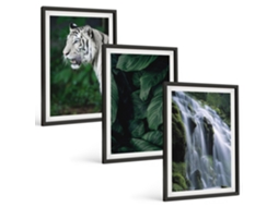 Conjunto De Pinturas Folhas De Tigre Branco Em Cachoeira Espelharte (3 Peças 40x60 Cm)