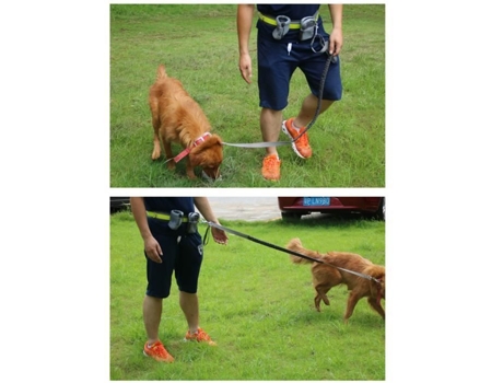 Trela de Cachorro para Corrida/Corrida/Caminhada Trela Elástica Cinto Reflexivo ADTOBAST