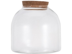 Kichouse Terrário de Musgo em Vidro, Vaso de Vidro Hidropônico para Aquários, Miniatura de Jardim Hidropônico para CHABERLU