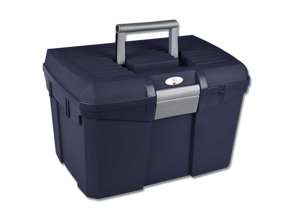 Caixa de Armazenamento Lockable Prateadowaldhausen