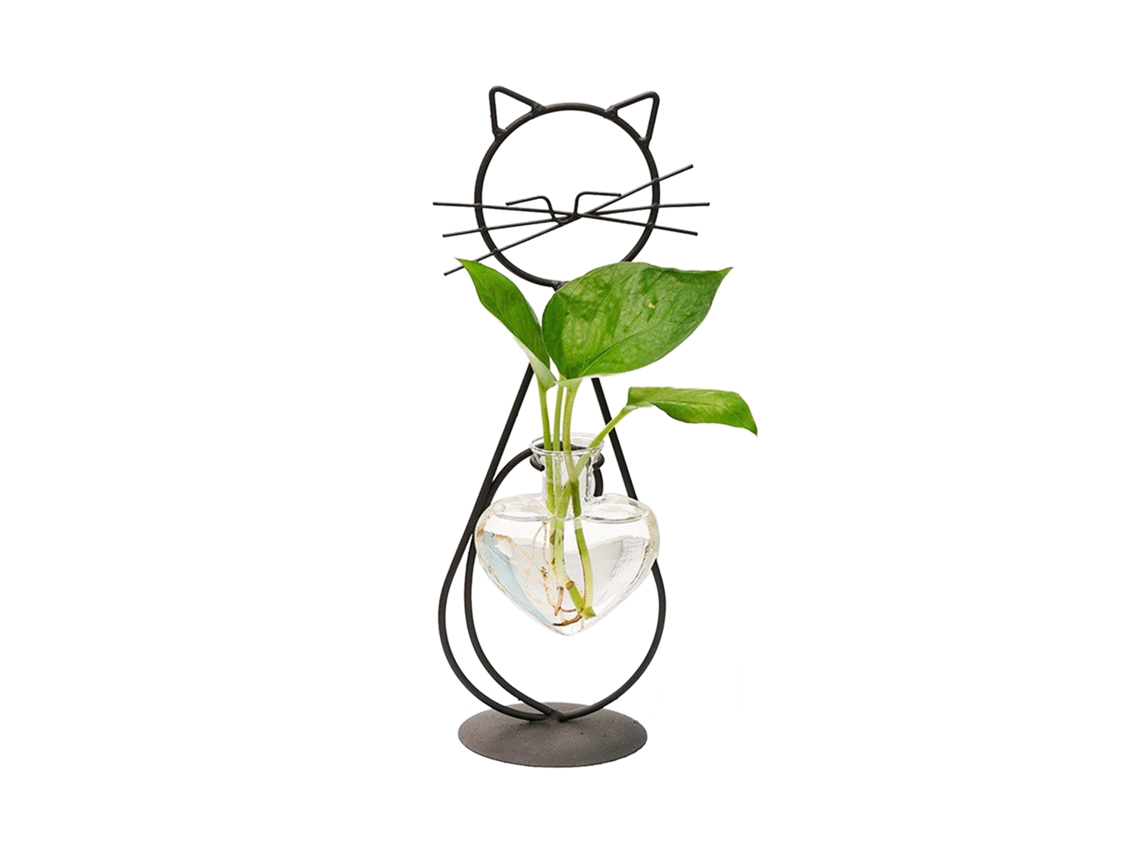 Vaso de Hidroponia de Flor de Ferro Simples para Gato