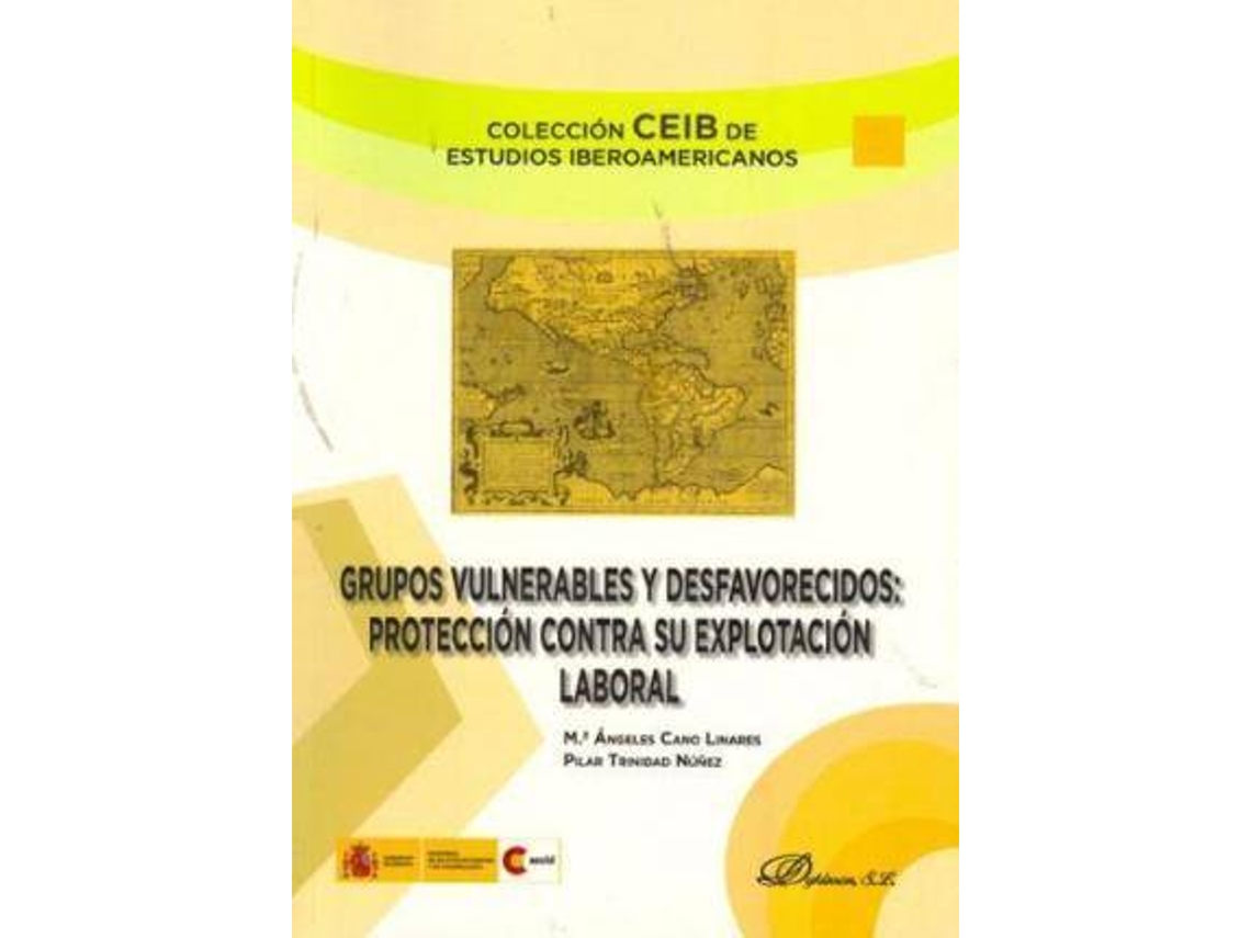 Livro Grupos Vulnerables Y Desfavorecidos / Vulnerable And Disadvantaged Groups de María Ángeles Cano Linares e Pilar Trinidad Núñez (Espanhol)
