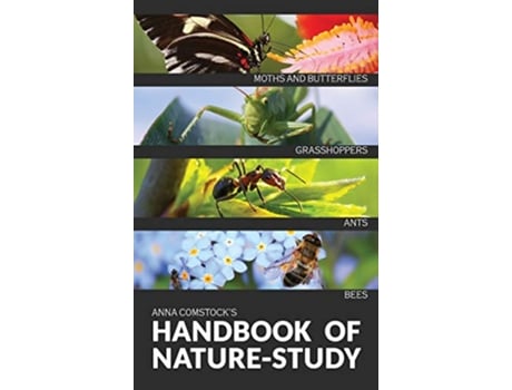 Livro The Handbook Of Nature Study in Color Insects de Anna B Comstock (Inglês)