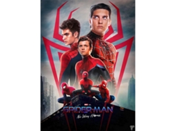 Pintura Decorativa Homem aranha Tela 20x30cm Sem Moldura