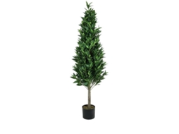 Planta Artificial EUROPALMS Laurel Cone (Verde - 150 cm)