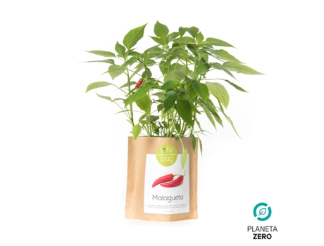 Grow Bag Malagueta Life In a Bag