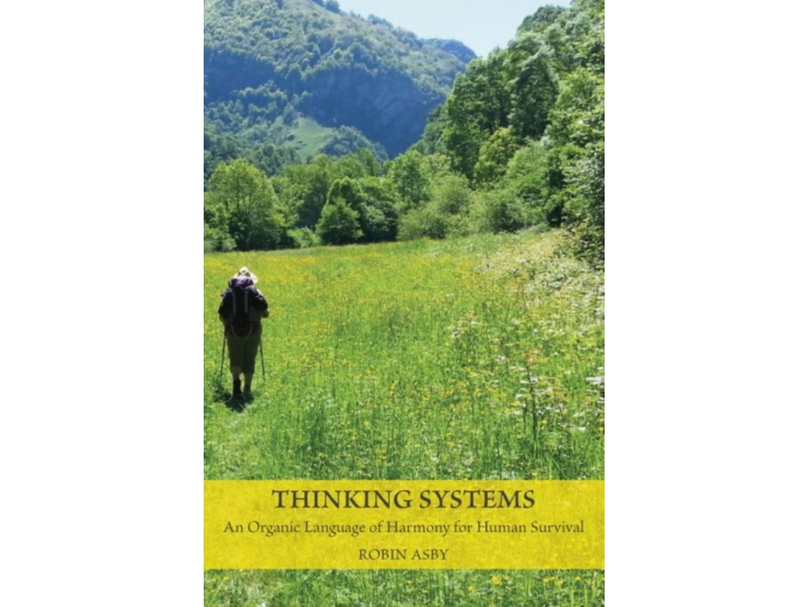 Livro Thinking Systems de Robin Asby Phd (Inglês)