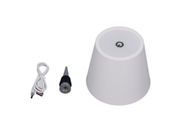 Lâmpada de Mesa de Acrílico Flor Eterna S/MARCA