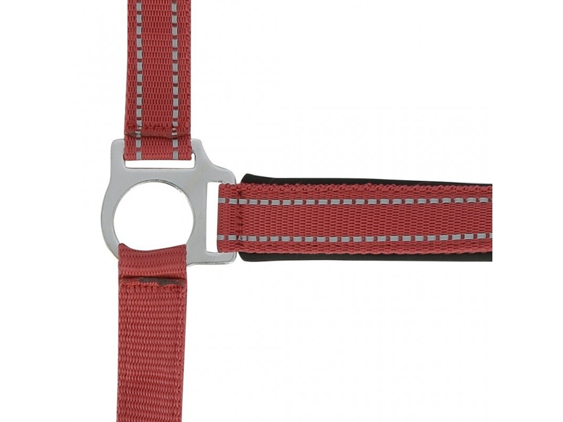 Cabresto para cavalos Norton Reflective