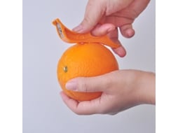 Conjunto De 10 Descascadores De Frutas 2 Em 1, Descascador De Maçã E Laranja