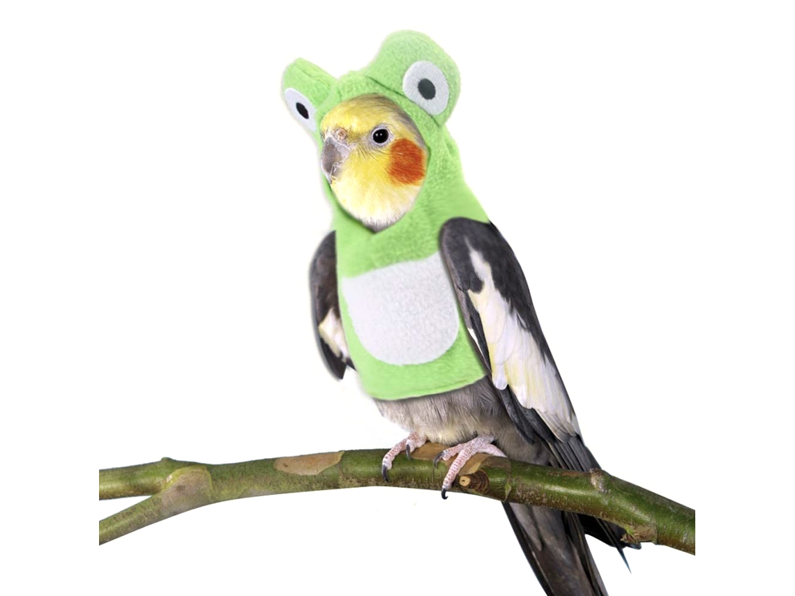 Roupas Confortáveis E Duráveis Para Aves