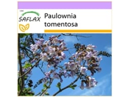 SAFLAX Árvore de Campainha Paulownia Tomentosa 200 Sementes