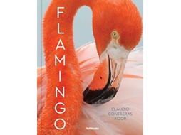 Livro Flamingo de Claudio Contreras Koob (Inglês - Capa Dura)