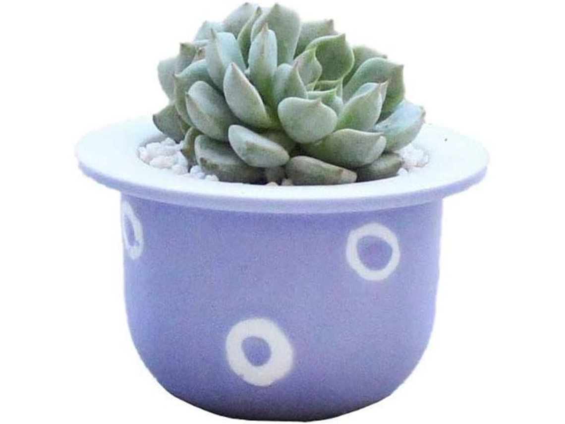 Vaso de Cerâmica com Furo de Drenagem para Suculentas e Cactos | S/MARCA
