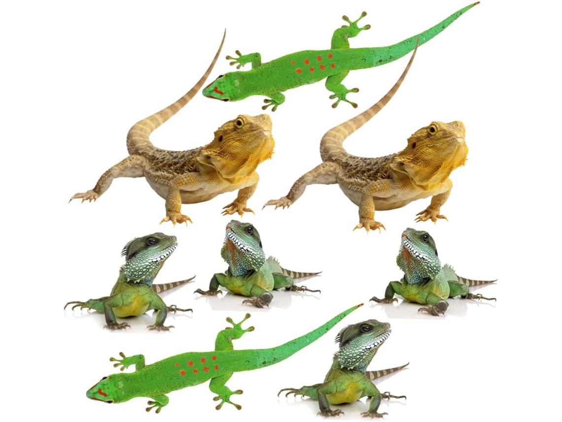Conjunto Com 2 Adesivos De Lagarto Para Carro E Caminhão, Divertidos