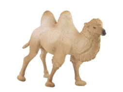 Rebe-figura De Camelo Branco Em Miniatura Modelo Animal Decoração De Casa Brinquedos Educativos Para Crianças
