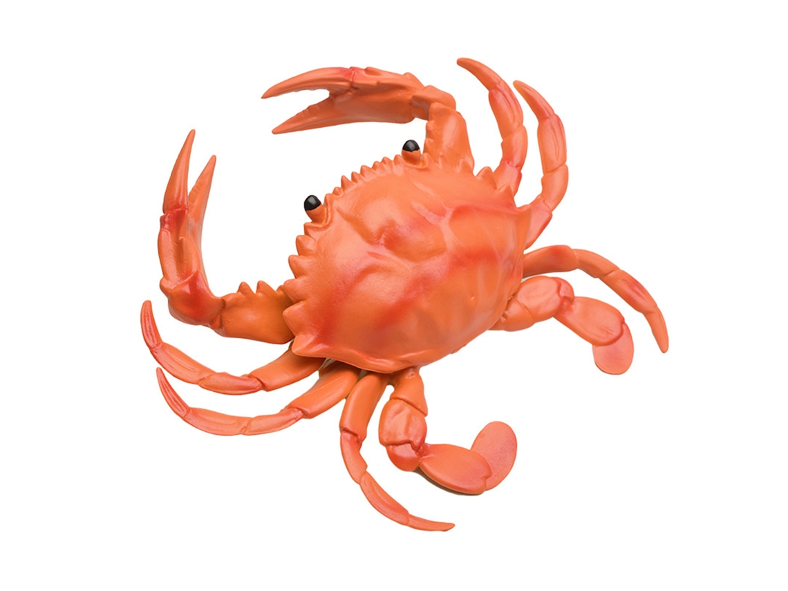 Primerox brinquedo Caranguejo com Som Realístico Modelo Marinho Educativo Decorativo