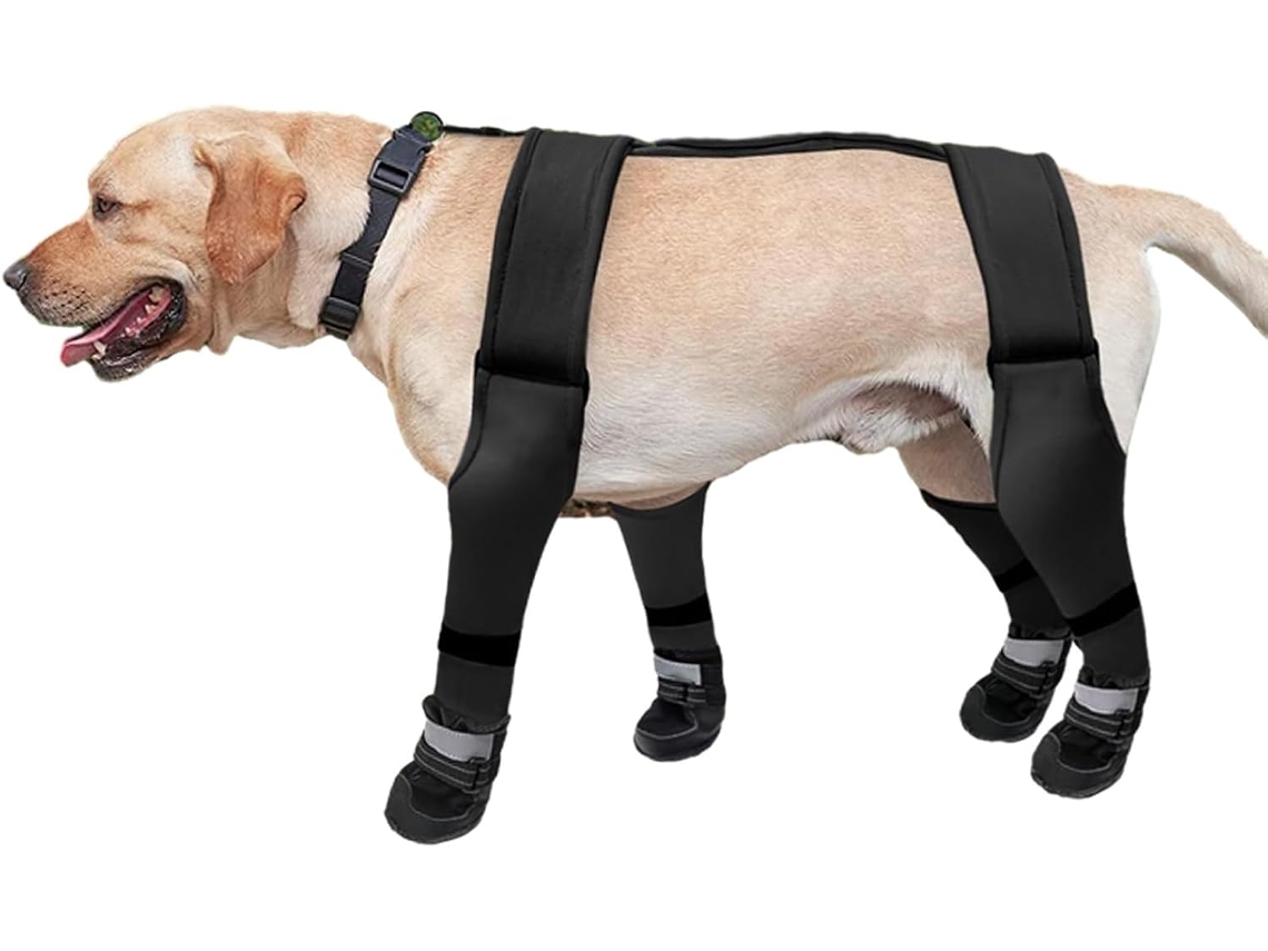 Botas Com Suspensórios Cães, Botas Com Suspensórios Cães