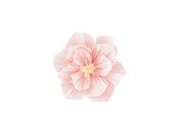 Laxiscreed Flores De Papel Peach De 20cm Para Decoração De Casamento Com Vídeo