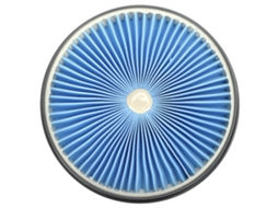 Laxiscreedfiltre Hepa Para Aspirador Vax95 | Elemento Filtrante Traseiro De Substituição