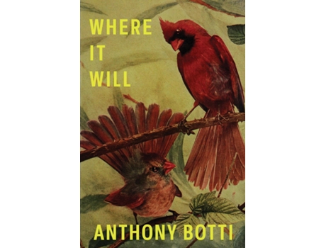 Livro Where It Will de Anthony Botti (Inglês)