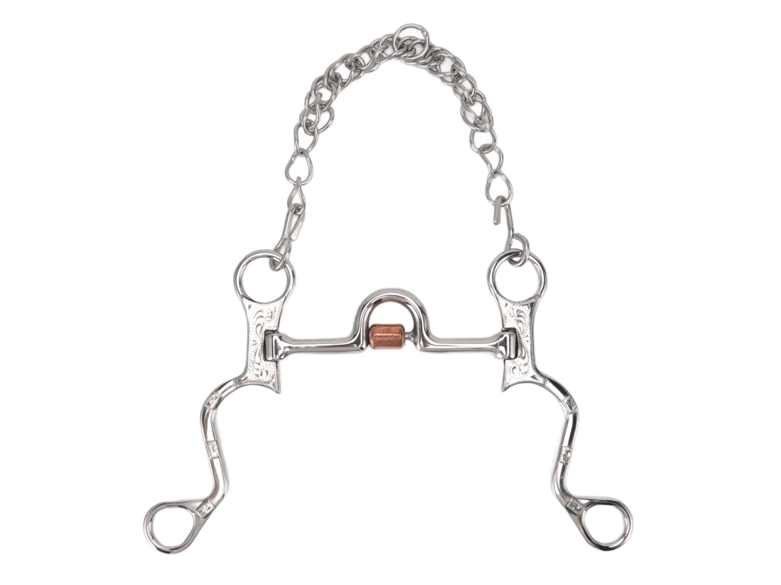 Bocado de Cavalo Snaffle com Corrente Aço Inox 120mm para Treinamento Equestre | S/MARCA