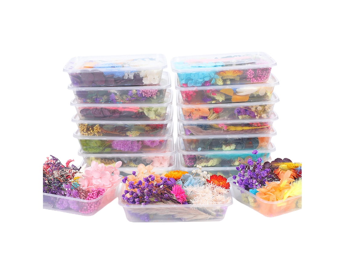 Conjunto de Acessórios Diy de Flor Seca Multicolorida 17x11.5x4cm