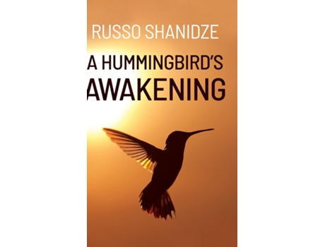 Livro A Hummingbirds Awakening De Russo Shanidze (inglês)