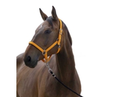 Cabeçada Satine Castanho Fullnorton Equestrian