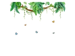 Adesivos De Parede Com Plantas Tropicais Verdes, Adesivos De Parede Com Folhas De Palmeira Slowmoose