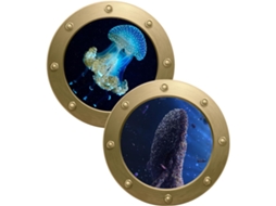 De 2 Adesivos Decorativos De Animais Marinhos Para Parede, Ideais Para Quarto E Sala De Estar. Adesivos Estereoscópicos Gokoco