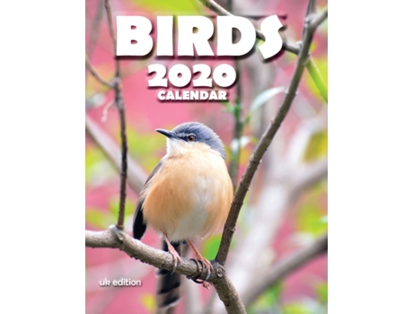 Livro Birds 2020 Calendar De Wall Publishing Uk (inglês)