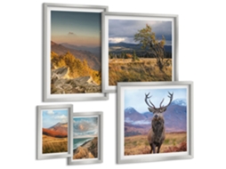 Conjunto De Pinturas Paisagens Da Fauna Selvagem De Montanha Espelharte (5 Peças)
